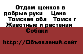 Отдам щенков в добрые руки. › Цена ­ 10 - Томская обл., Томск г. Животные и растения » Собаки   